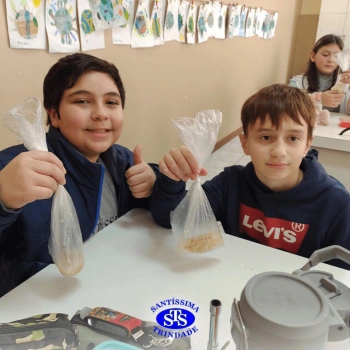 5º ano | Dentes para quê?