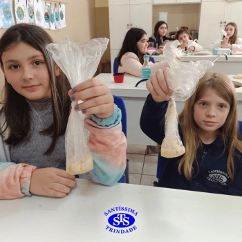 5º ano | Dentes para quê?