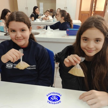 5º ano | Dentes para quê?