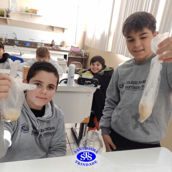 5º ano | Dentes para quê?