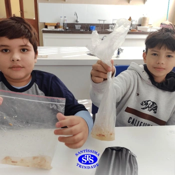 5º ano | Dentes para quê?