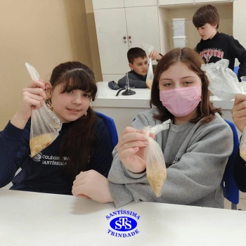 5º ano | Dentes para quê?