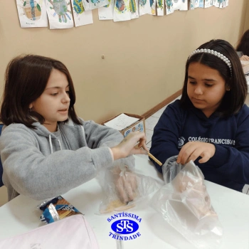5º ano | Dentes para quê?
