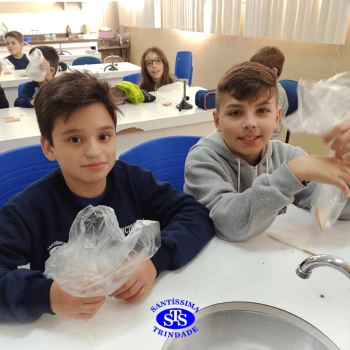 5º ano | Dentes para quê?
