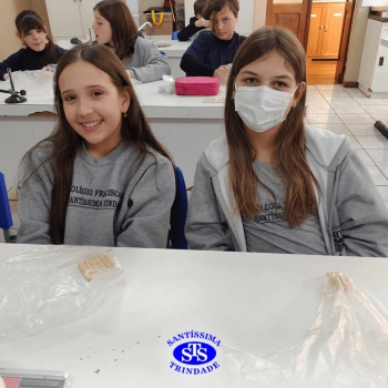 5º ano | Dentes para quê?