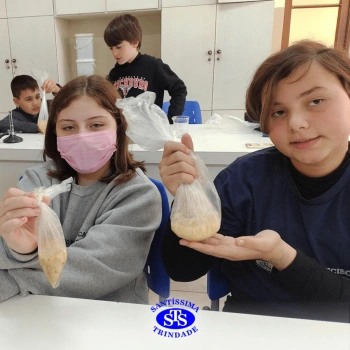 5º ano | Dentes para quê?