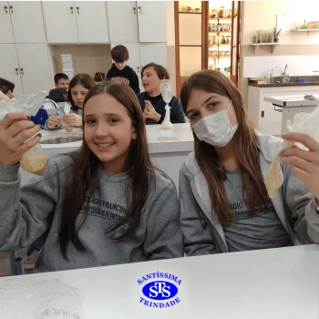5º ano | Dentes para quê?
