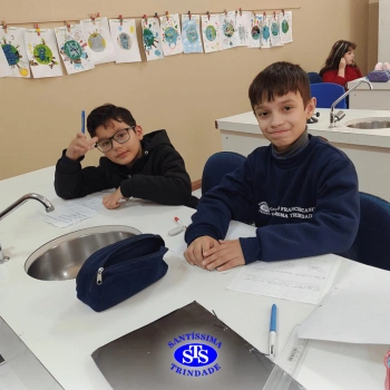 5º ano | Dentes para quê?