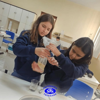 5º ano | Dentes para quê?