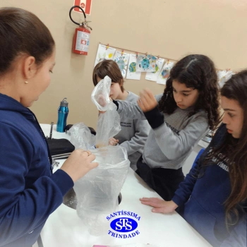5º ano | Dentes para quê?