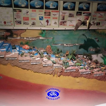 Viagem de estudos possibilita novas descobertas | 6º ano