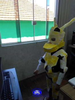 2º ano: 107 anos STS