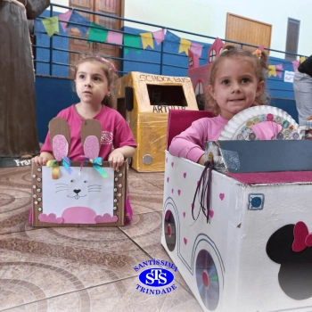Alunos criam brinquedos a partir de caixas | Infantil 3