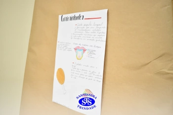 Mostra dos Sentidos explora sentidos do corpo humano de forma prática e lúdica