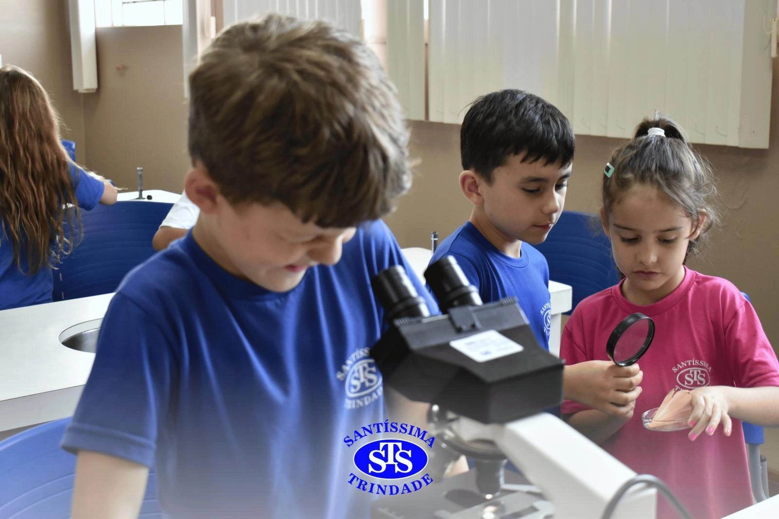 Alunos estudam as estruturas das plantas e das flores | 1º ano