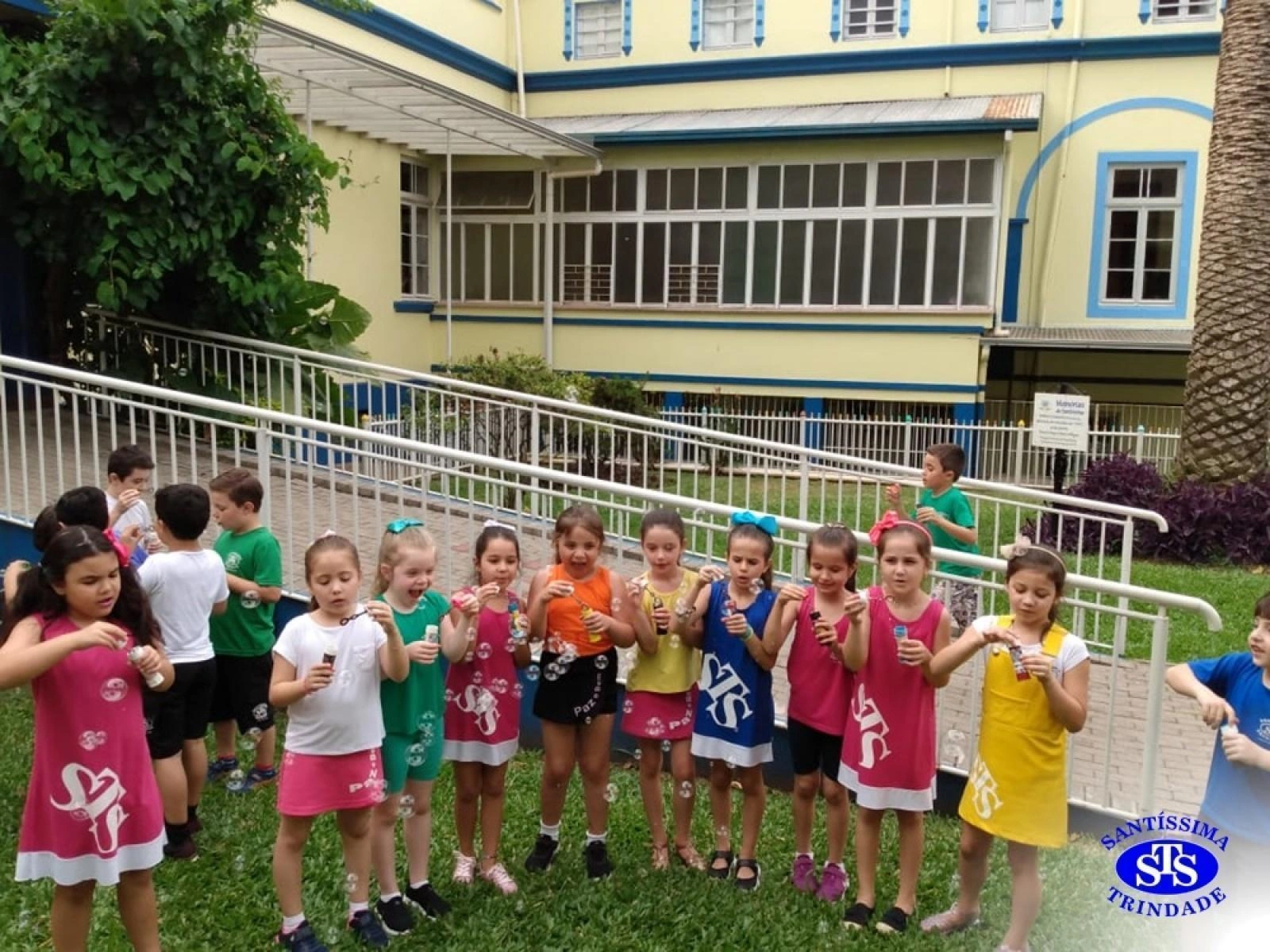 1º ano: estudo do LH