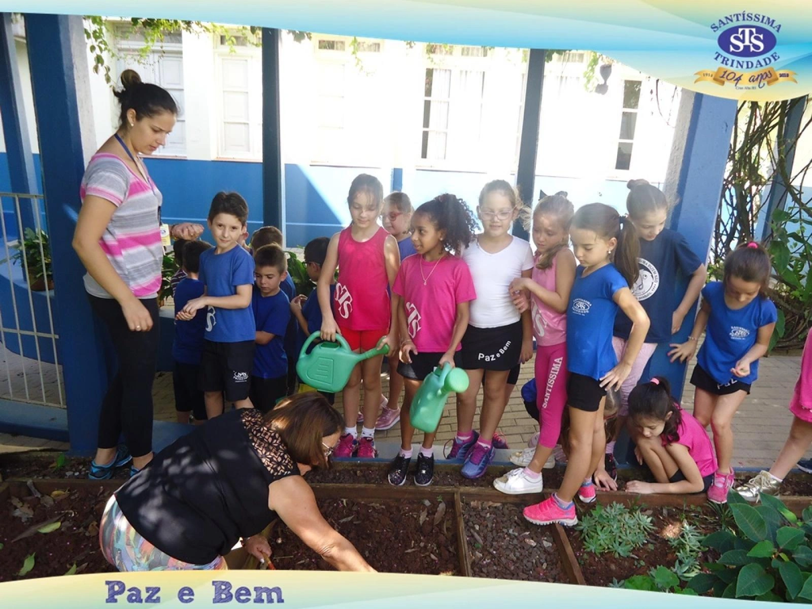 2º ano - Projeto Feijão