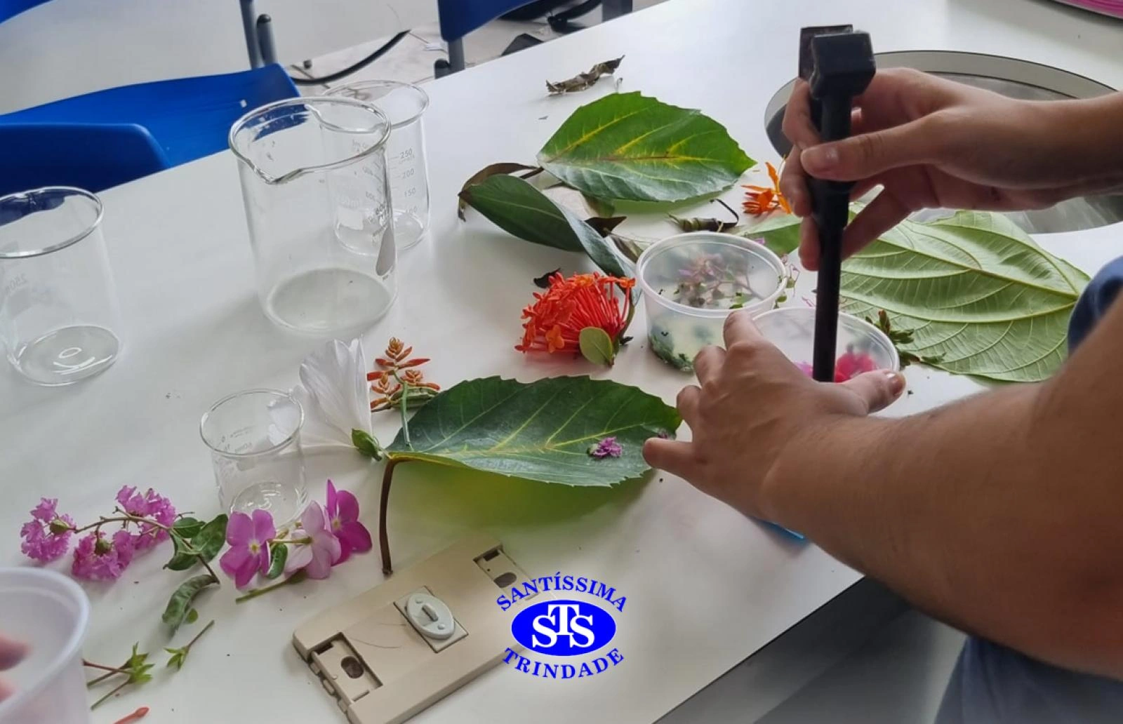 1ª série EM | Práticas de Laboratório