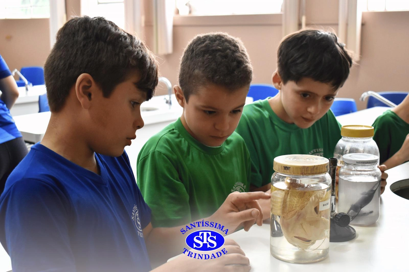 Alunos observam animais e suas características no Laboratório de Ciências