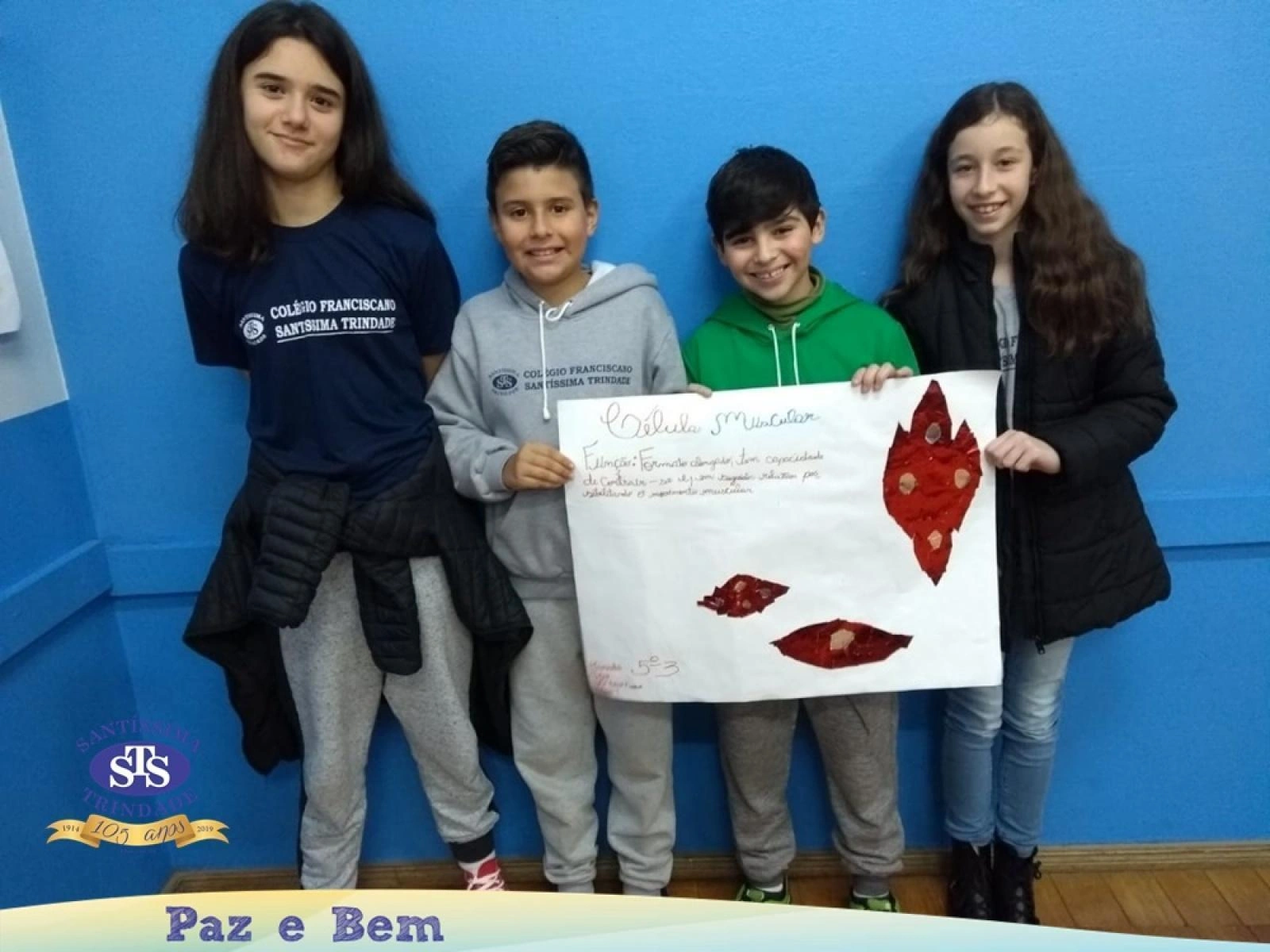 5º ano - Células