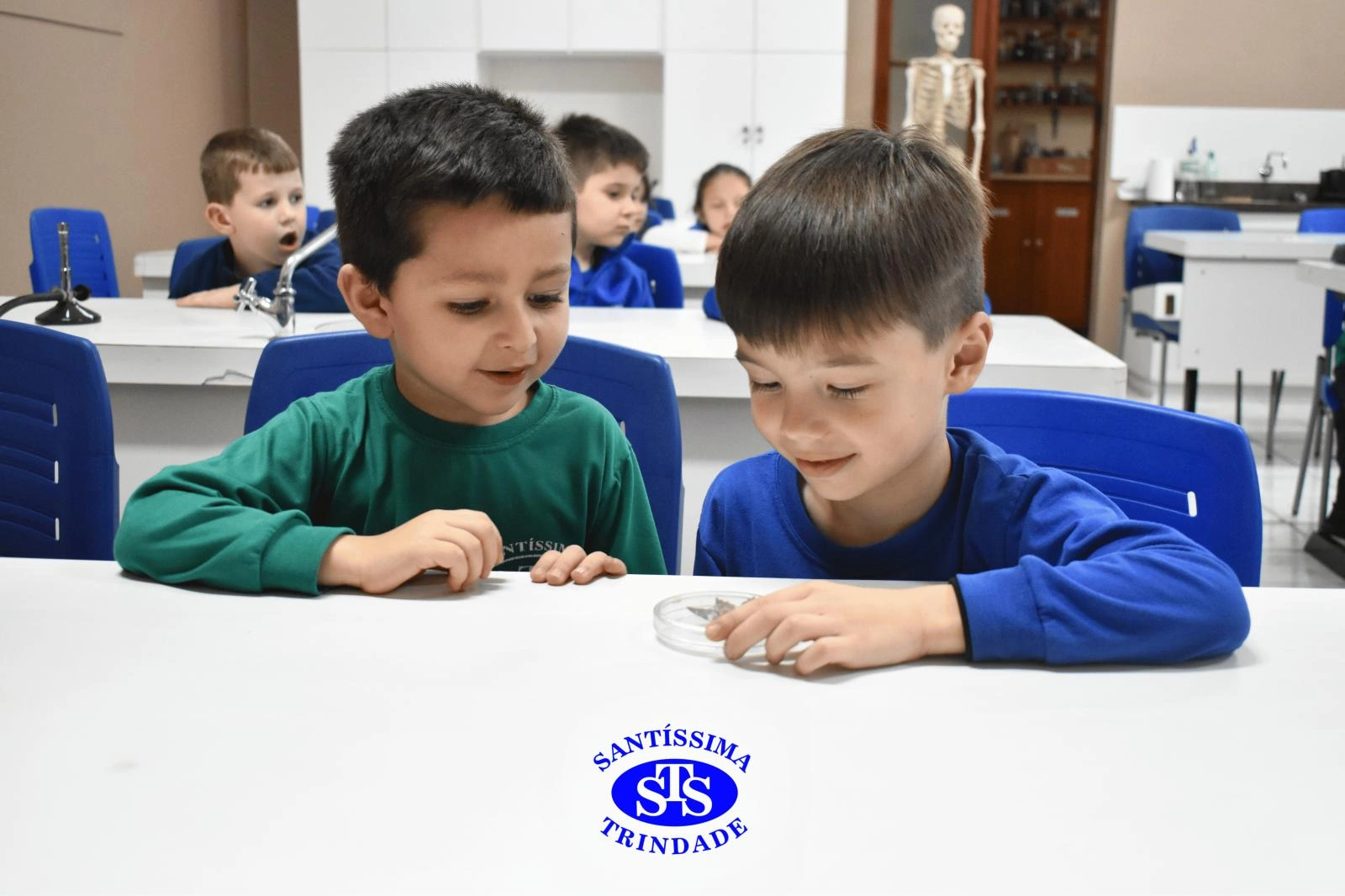 Aula no Laboratório de Ciência proporciona estudo dos animais | Inf. 5