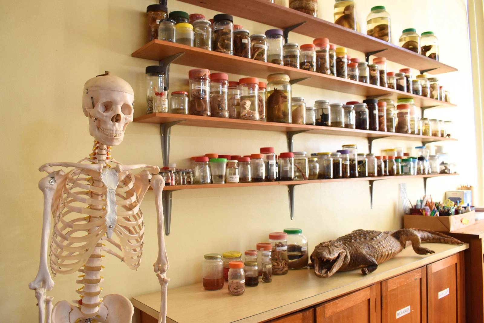 Laboratório de Ciências