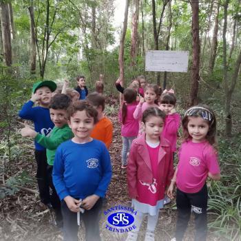 Infantil 4 | Parque Franciscano STS