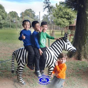 Infantil 4 | Parque Franciscano STS