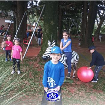 Infantil 4 | Parque Franciscano STS
