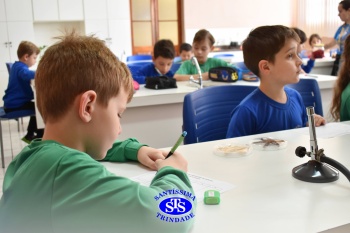 Alunos do 1º ano realizam atividades no Laboratório de Ciências