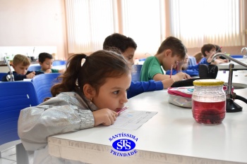 Alunos do 1º ano realizam atividades no Laboratório de Ciências