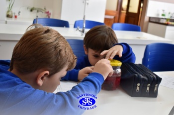 Alunos do 1º ano realizam atividades no Laboratório de Ciências