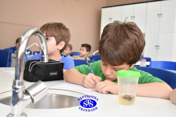 Alunos do 1º ano realizam atividades no Laboratório de Ciências
