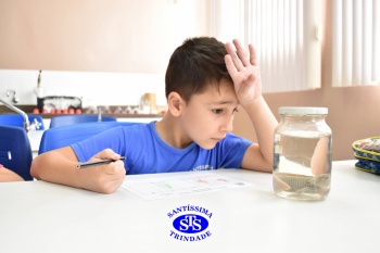 Alunos do 1º ano realizam atividades no Laboratório de Ciências