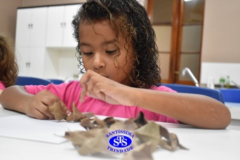 Alunos do 1º ano realizam atividades no Laboratório de Ciências