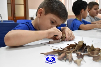 Alunos do 1º ano realizam atividades no Laboratório de Ciências