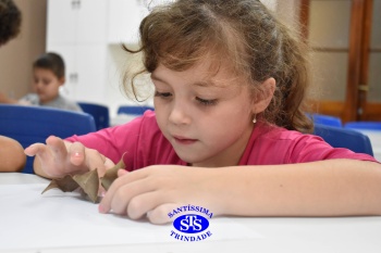 Alunos do 1º ano realizam atividades no Laboratório de Ciências
