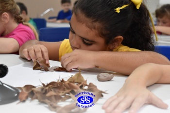 Alunos do 1º ano realizam atividades no Laboratório de Ciências