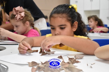 Alunos do 1º ano realizam atividades no Laboratório de Ciências