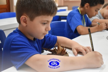 Alunos do 1º ano realizam atividades no Laboratório de Ciências