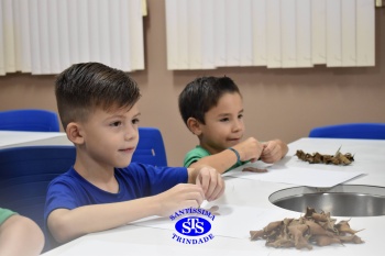 Alunos do 1º ano realizam atividades no Laboratório de Ciências