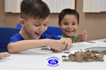 Alunos do 1º ano realizam atividades no Laboratório de Ciências