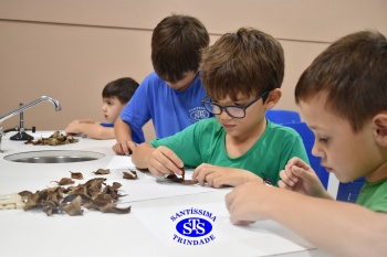 Alunos do 1º ano realizam atividades no Laboratório de Ciências