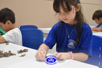 Alunos do 1º ano realizam atividades no Laboratório de Ciências