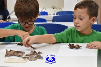 Alunos do 1º ano realizam atividades no Laboratório de Ciências