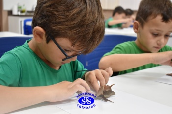 Alunos do 1º ano realizam atividades no Laboratório de Ciências