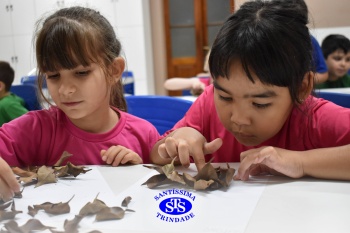 Alunos do 1º ano realizam atividades no Laboratório de Ciências