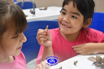 Alunos do 1º ano realizam atividades no Laboratório de Ciências