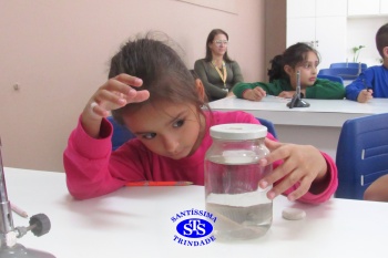 Alunos do 1º ano realizam atividades no Laboratório de Ciências