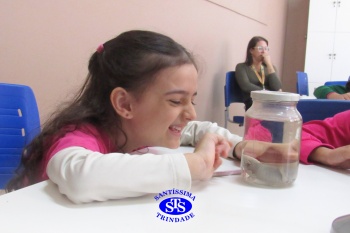 Alunos do 1º ano realizam atividades no Laboratório de Ciências